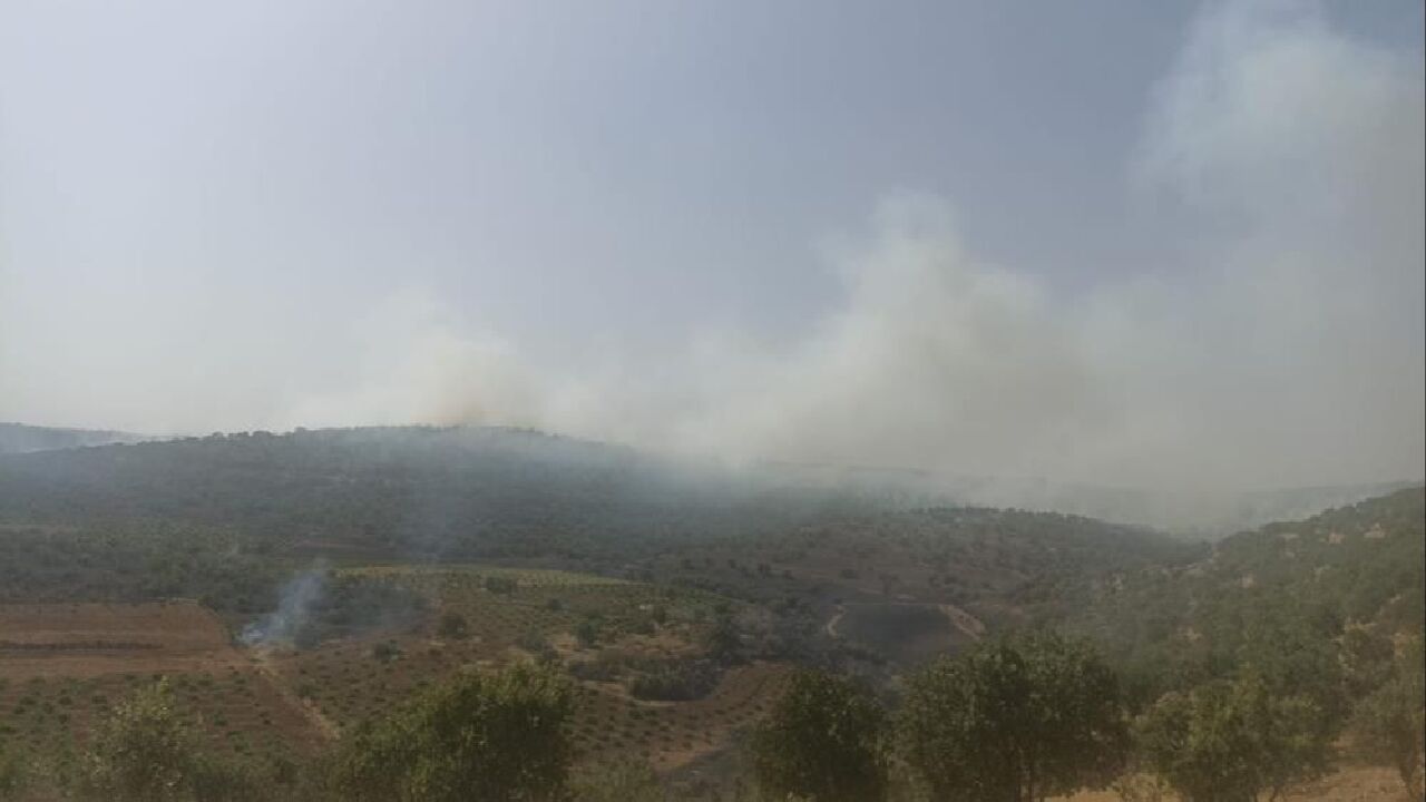 Mardin'de 5 ayrı noktada orman yangını: Ekiplerin alevlerle mücadelesi sürüyor - 1. Resim