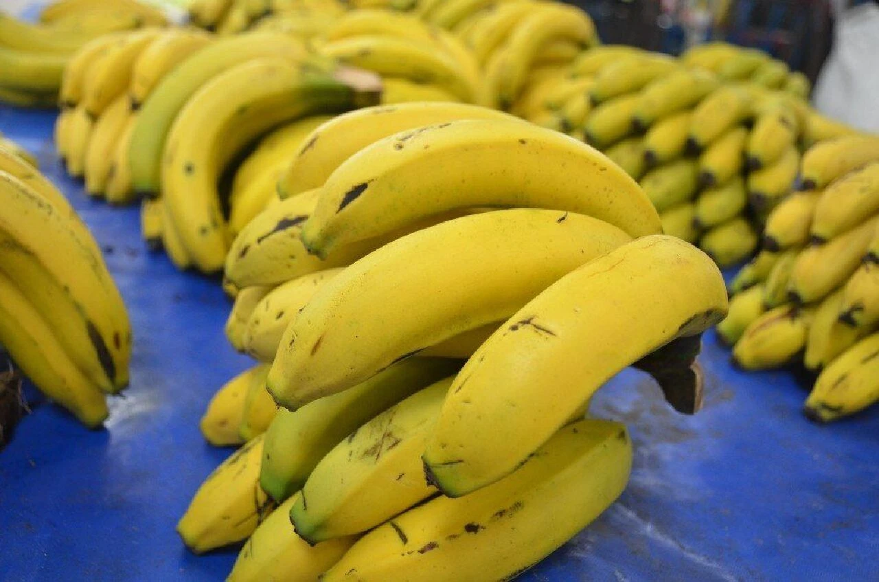 Yerli muzu ithal muz diye 5 katı fiyata satıyorlar - 1. Resim