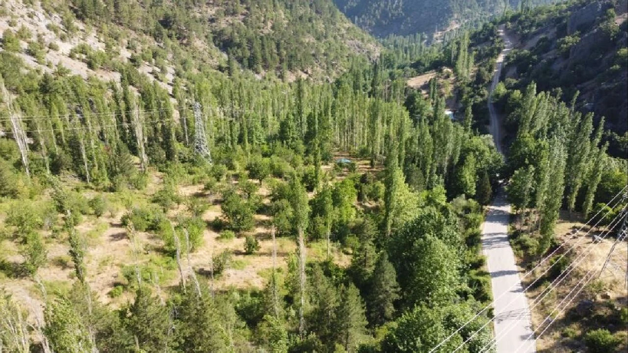 Mahmut Dal mevsimlik işçi olarak girdiği belediyeye 'başkan' oldu