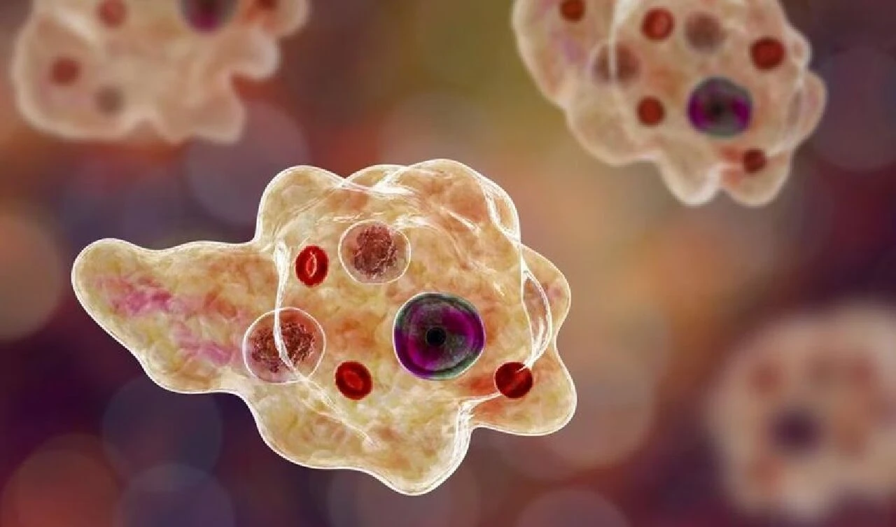 Serinlemek için gölete girdi, sonu oldu! Günlerce beynini çiğ çiğ yediler - 2. Resim