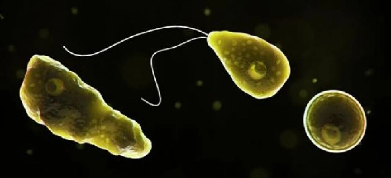 Gribe benziyor, etinizi yiyor! Et yiyen bakteri denize açılan insanlarda sıklıkla görülüyor - 1. Resim