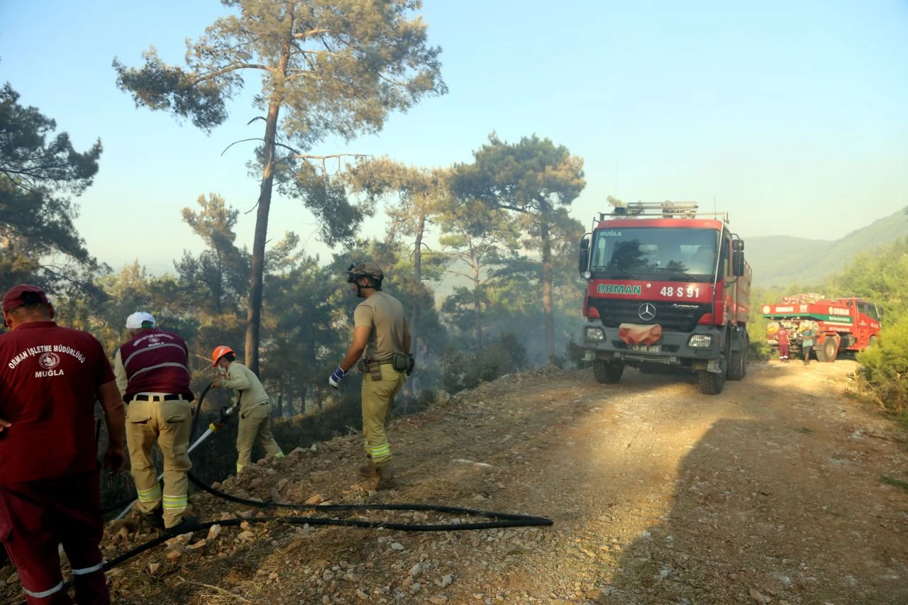 Bodrum'da orman yangını! Havadan ve karadan müdahale ediliyor - 6. Resim