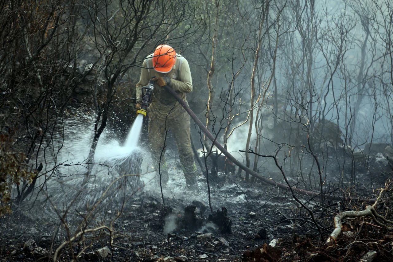 Bodrum'da orman yangını! Havadan ve karadan müdahale ediliyor - 4. Resim