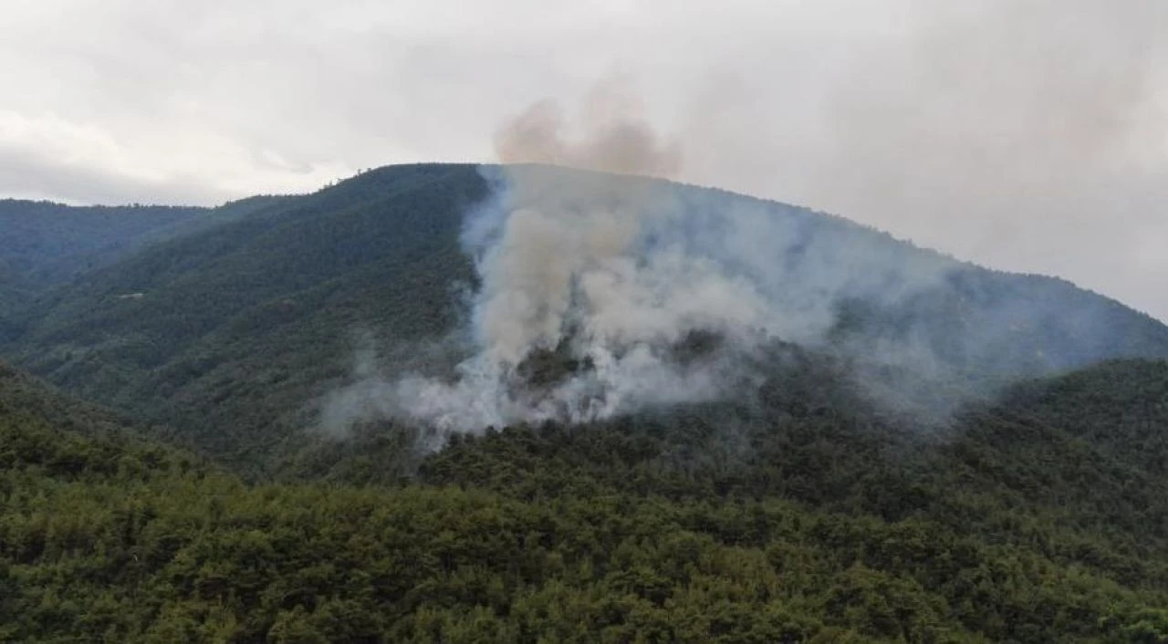Karabük'te yıldırımdan çıkan yangın kontrol altına alındı 
