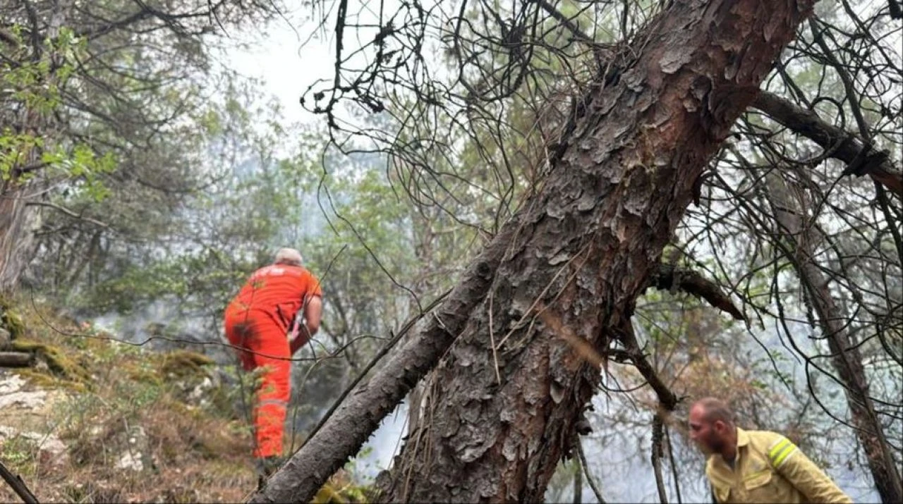 Karabük'te yıldırımdan çıkan yangın kontrol altına alındı 