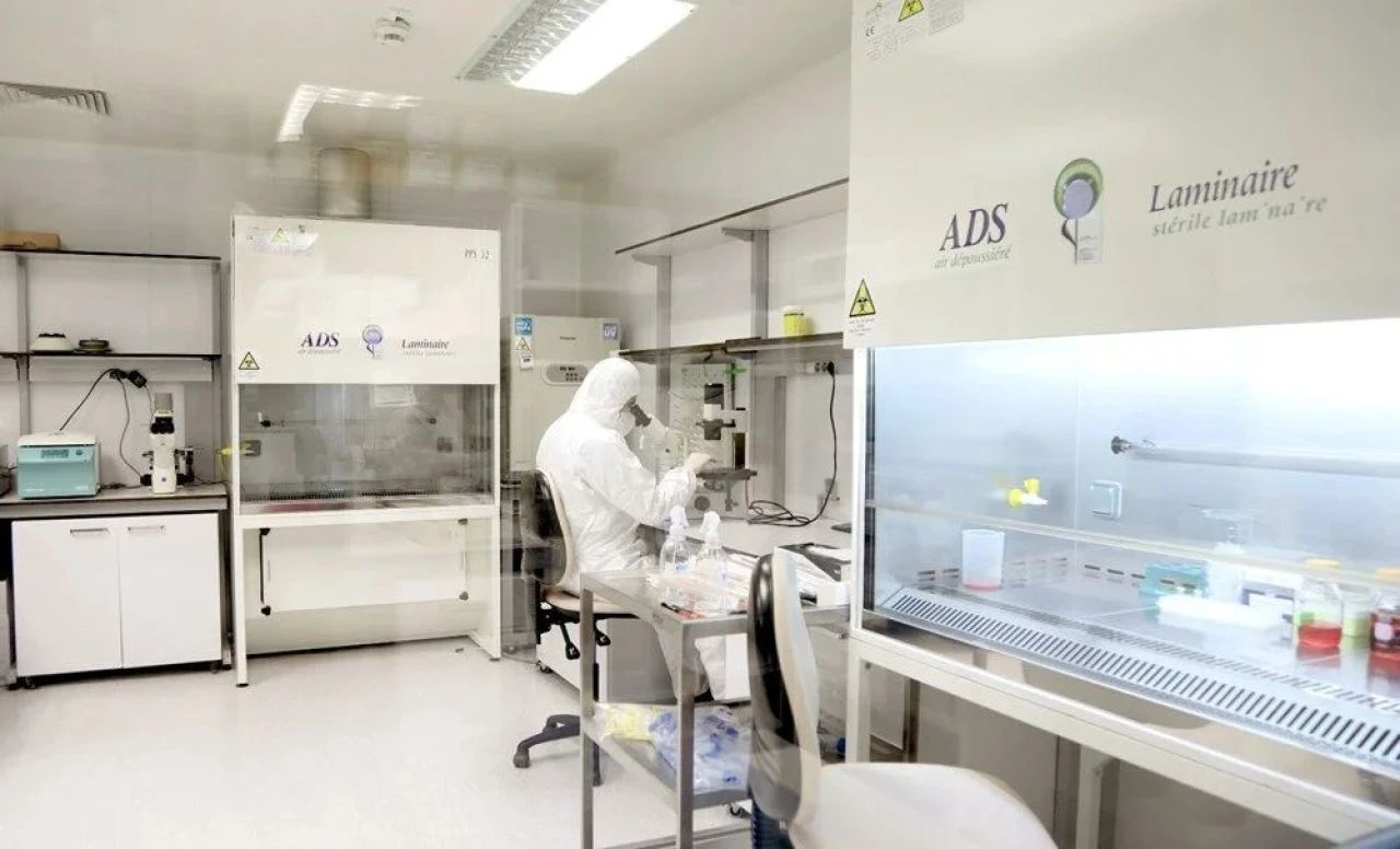 Kene kâbusunu bitirecek önemli gelişme! Çareyi Türk bilim insanları buldu - 1. Resim