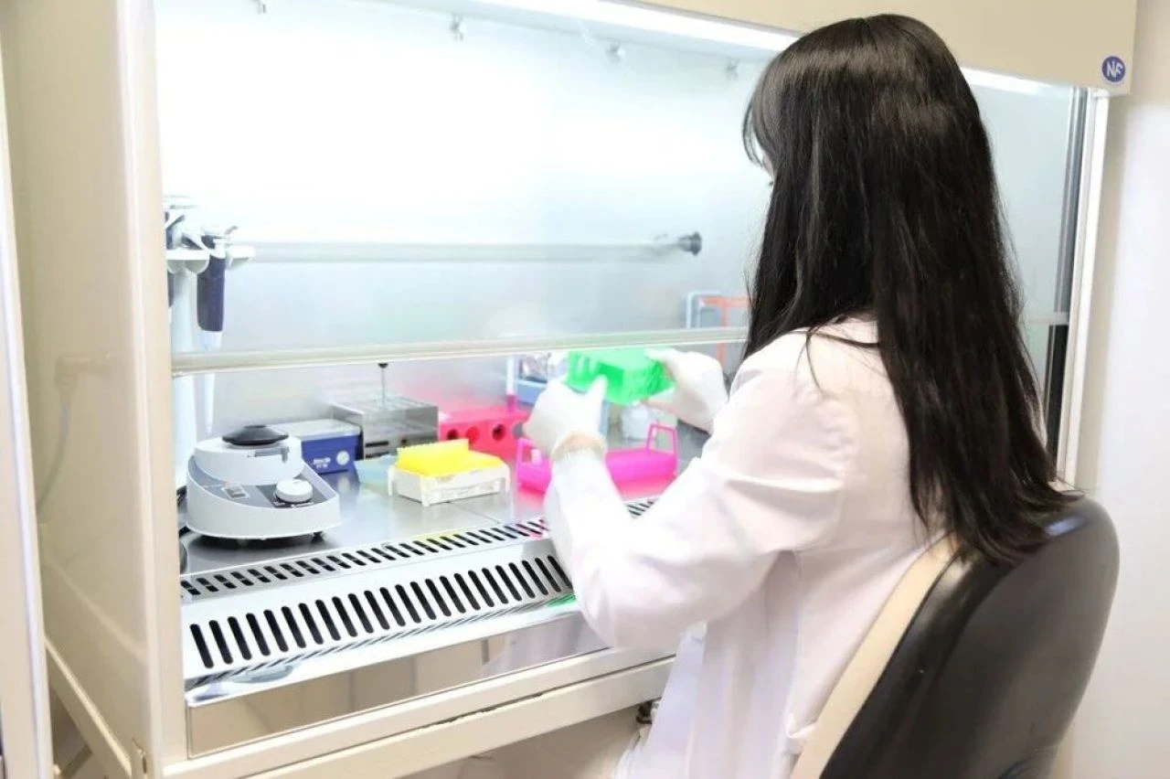 Kene kâbusunu bitirecek önemli gelişme! Çareyi Türk bilim insanları buldu - 2. Resim