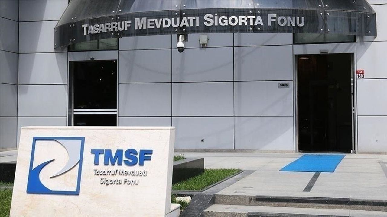 Tasarruf Mevduat Sigorta Fonu hazine mülkiyetindeki 2 şirketi satışa çıkardı