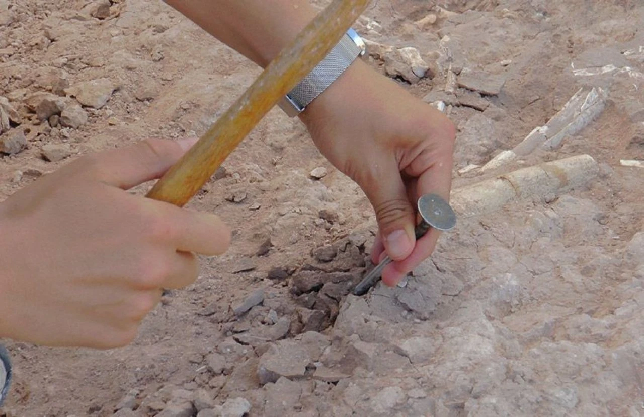 7,5 milyon yıllık tarihe ışık tutacak araştırma: Kayseri çok önemli, primat umut ediyoruz! - 2. Resim