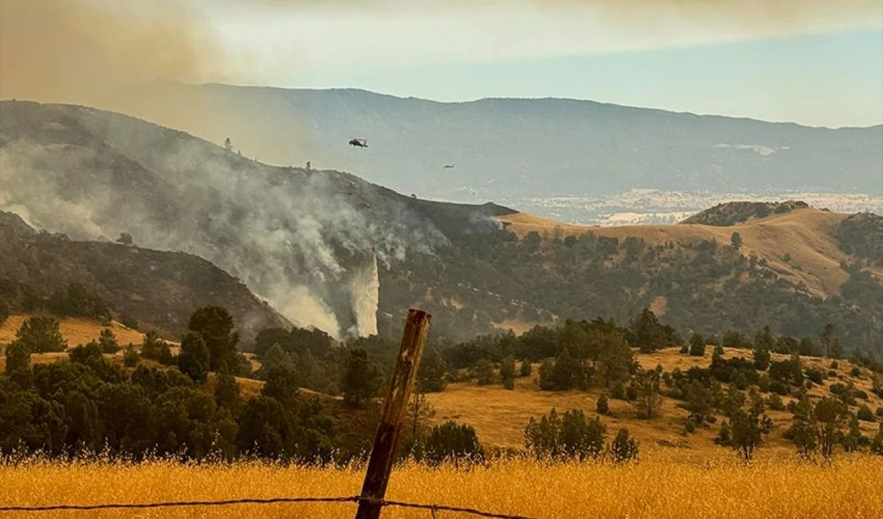 ABD'de yılın en büyük orman yangını! Eyalet adeta küle döndü