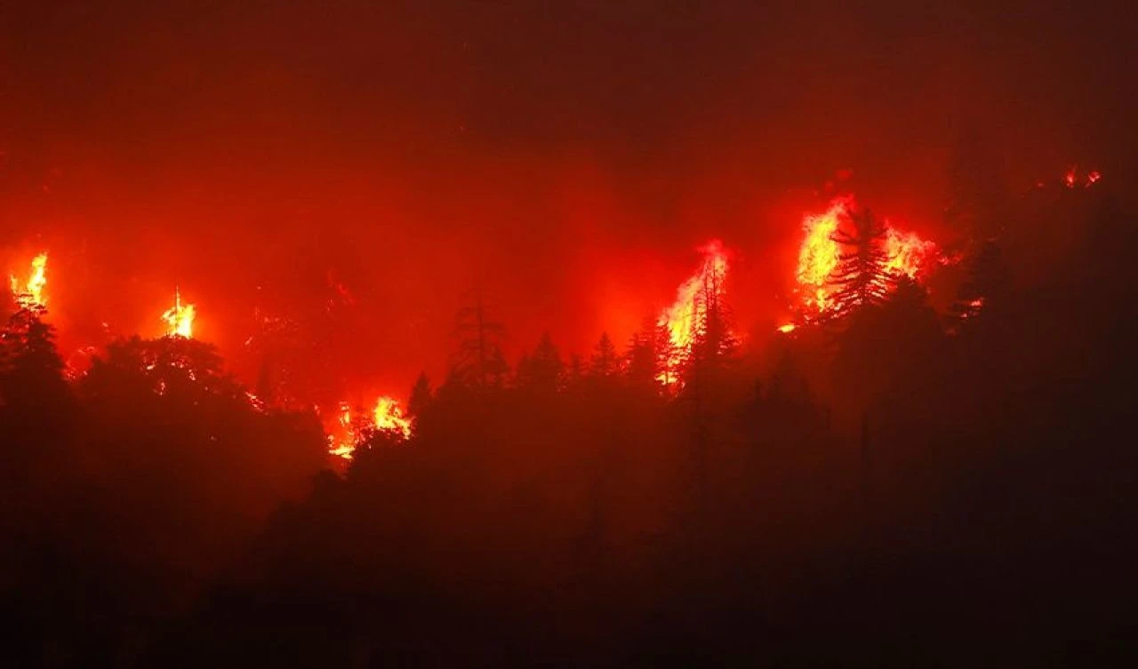 ABD'de yılın en büyük orman yangını! Eyalet adeta küle döndü