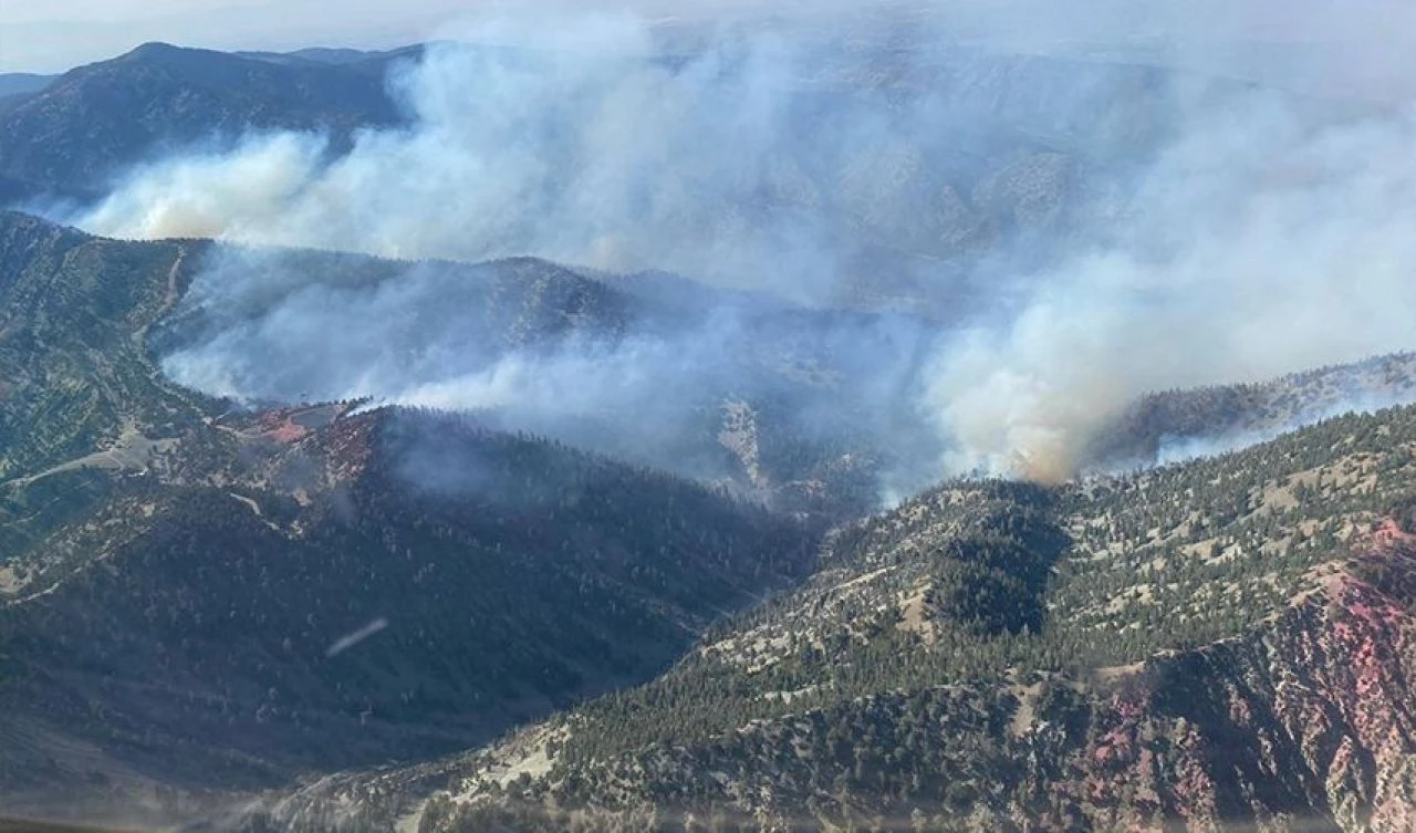 ABD'de yılın en büyük orman yangını! Eyalet adeta küle döndü