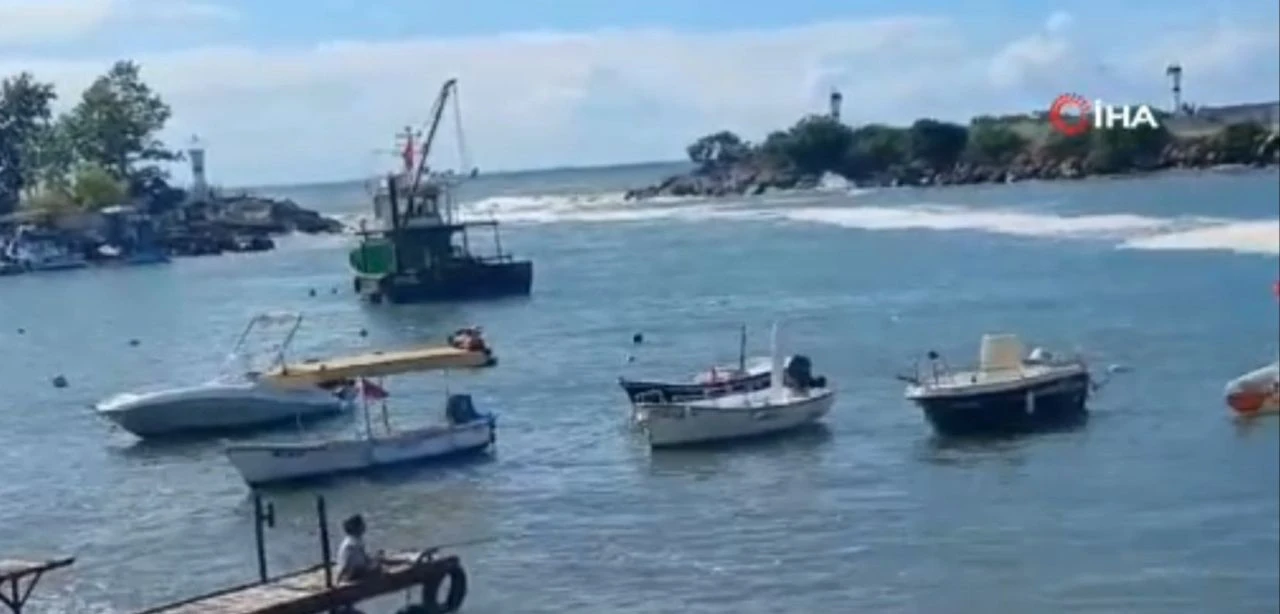 Karadeniz'de korkutan görüntü! Valilikten müsilaj açıklaması - 1. Resim