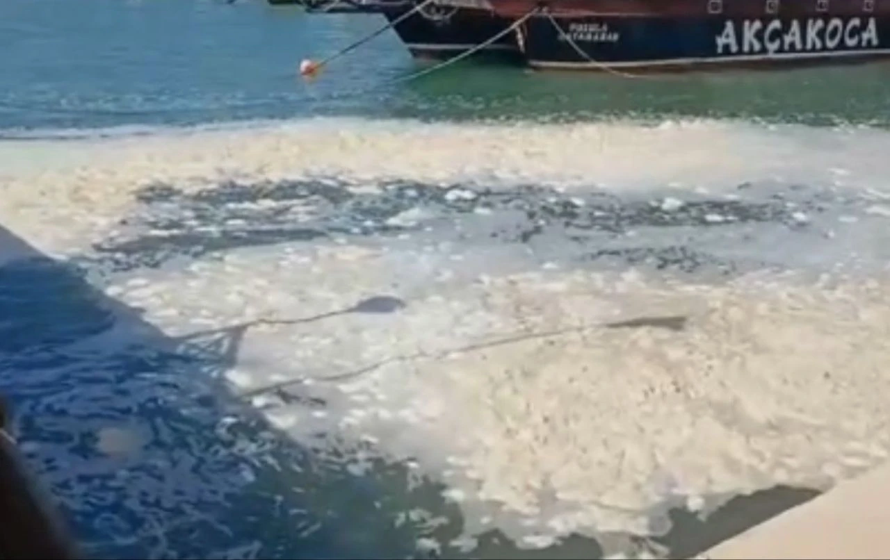 Karadeniz'de korkutan görüntü! Valilikten müsilaj açıklaması - 2. Resim