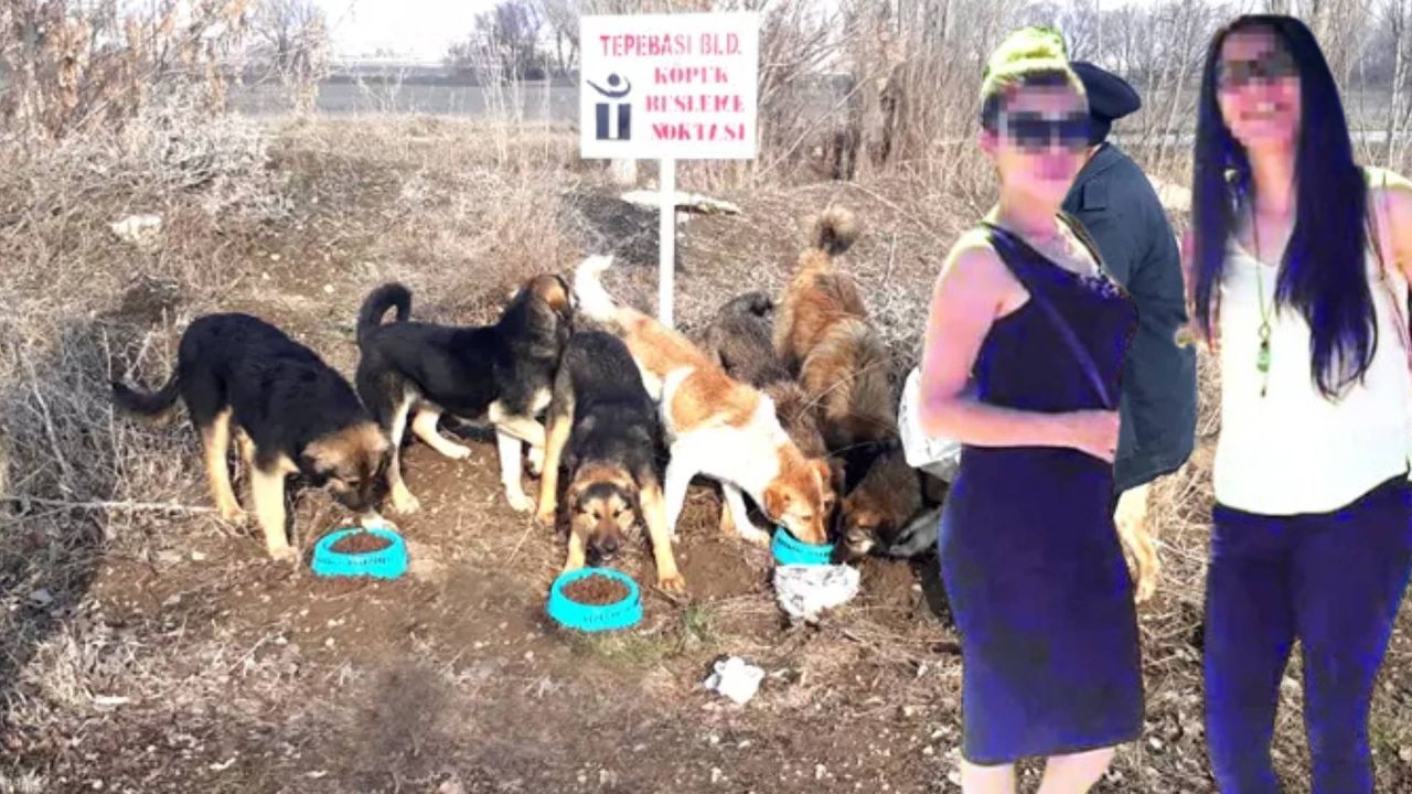 Köpek yüzünden cinayet: Mama kavgası ölümle bitti