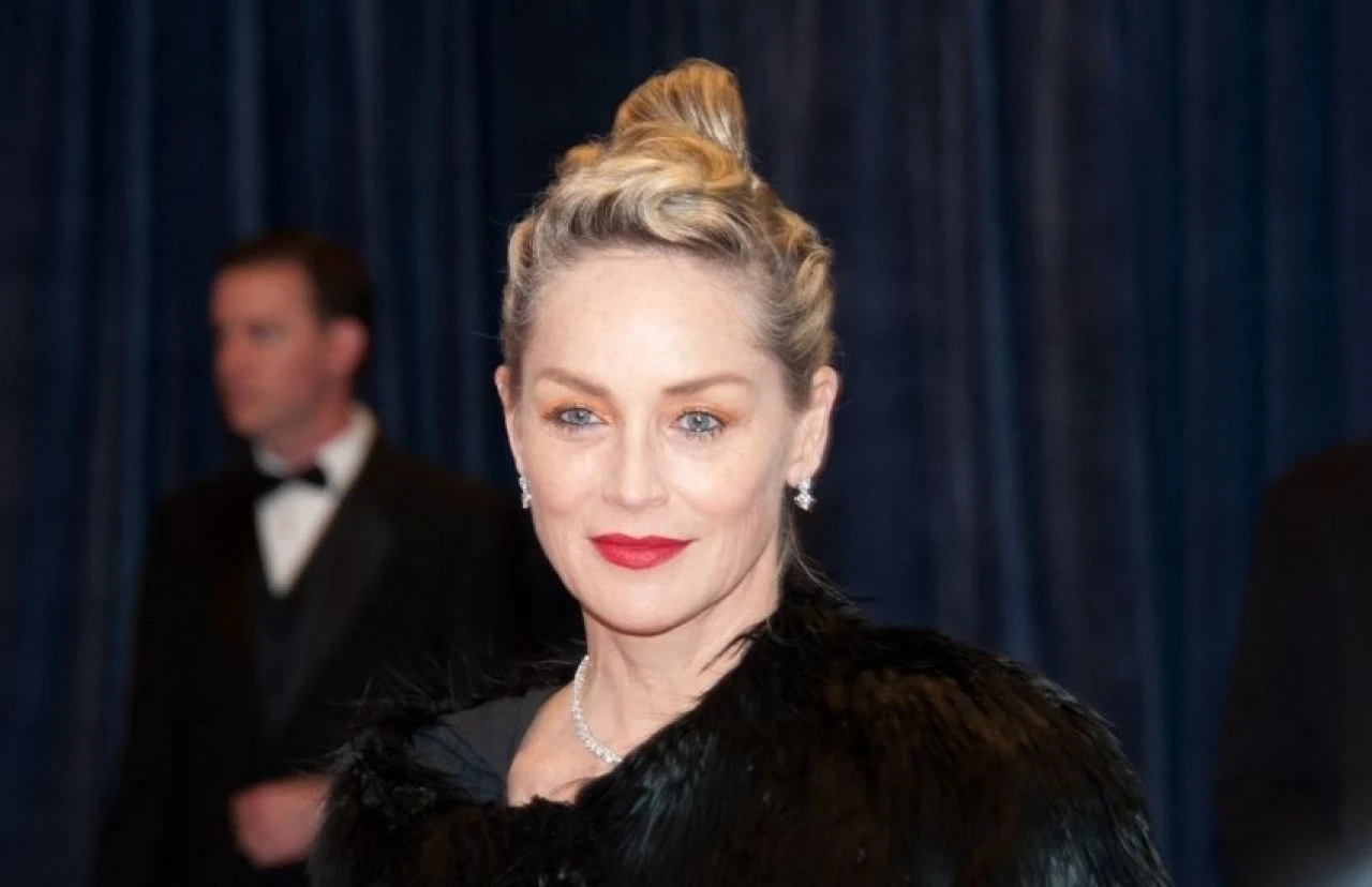 Sharon Stone'dan yıllar sonra gelen itiraf | "Felç geçirdiğimde milyonlarca dolar kaybettim"