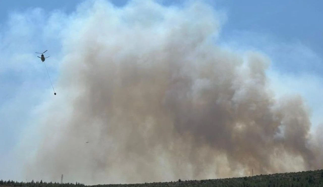 Son dakika | Menderes’te orman yangını: Ekipler kontrol altına aldı