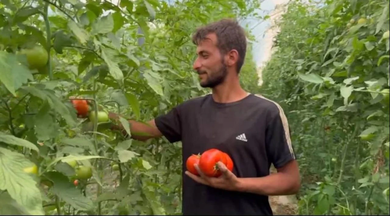 Tarlada işçiydi, kendi işinin patronu oldu: Masrafı 300 bin TL, kazancı 750 bin TL