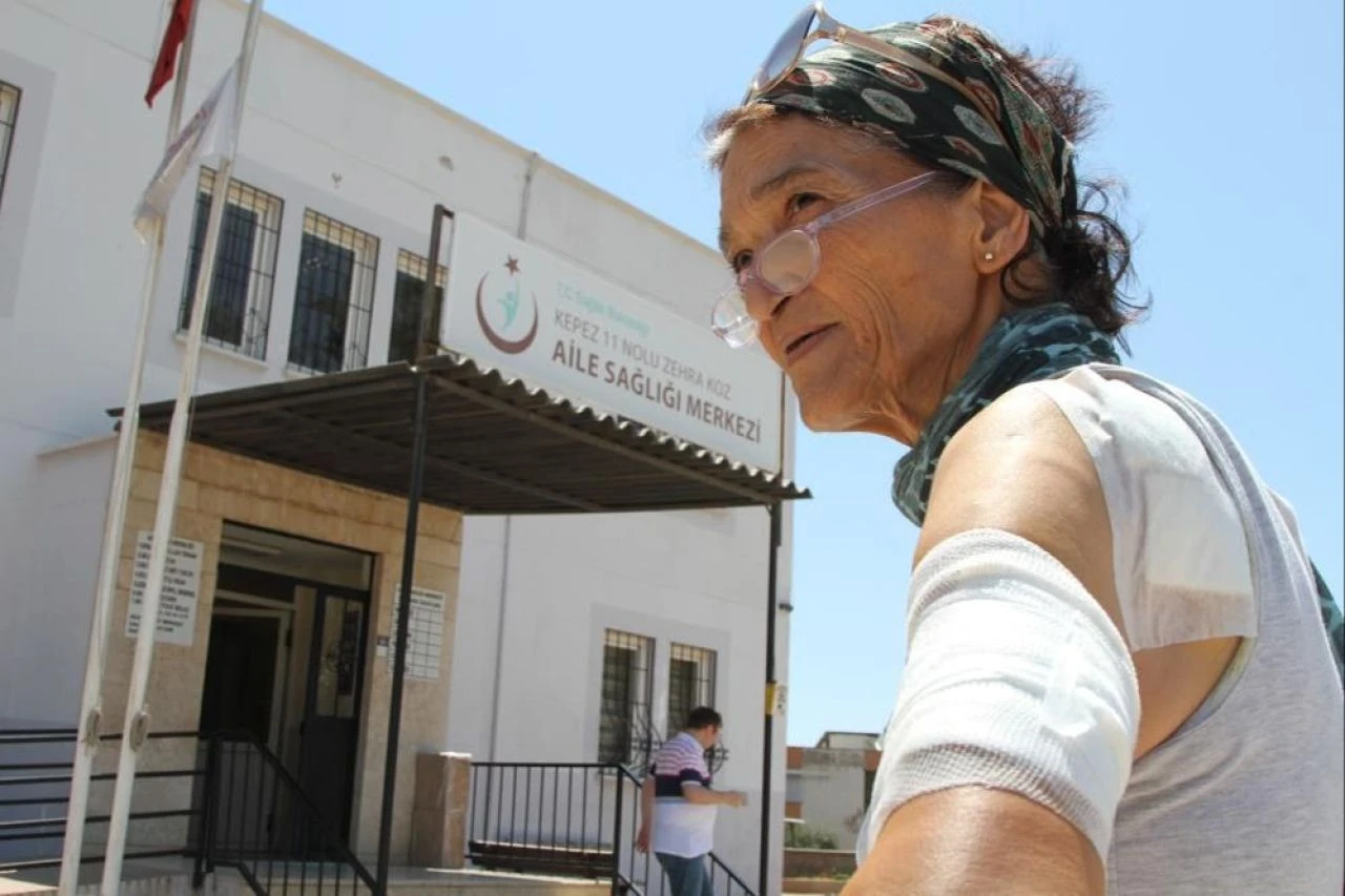 Besledikleri kedi paramparça etti! Evden kan revam çıktılar: Azrail gibiydi! - 2. Resim