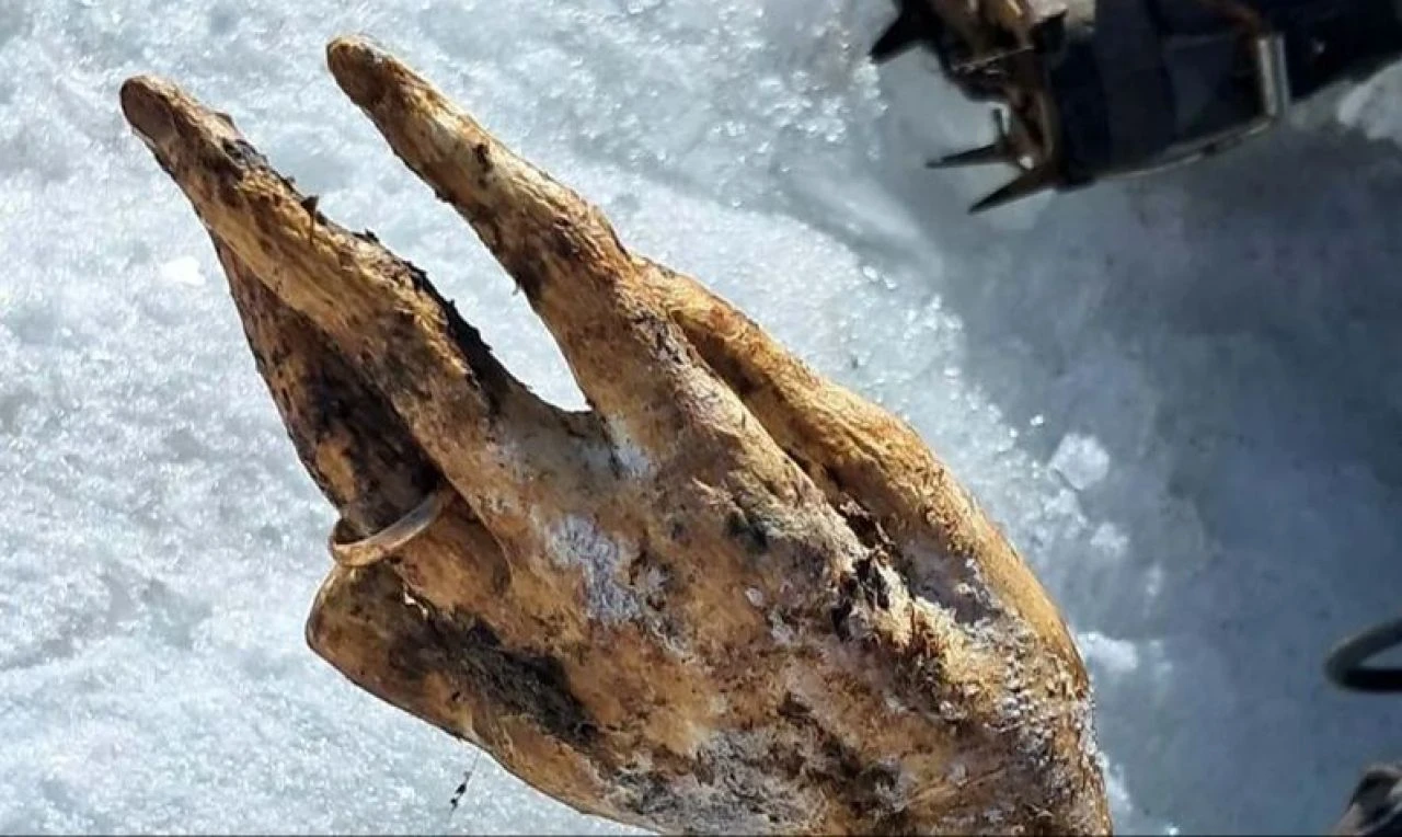 Çığ altında kalmıştı! Kayıp dağcı tam 22 yıl sonra bulundu: Bedeni hiç bozulmamış