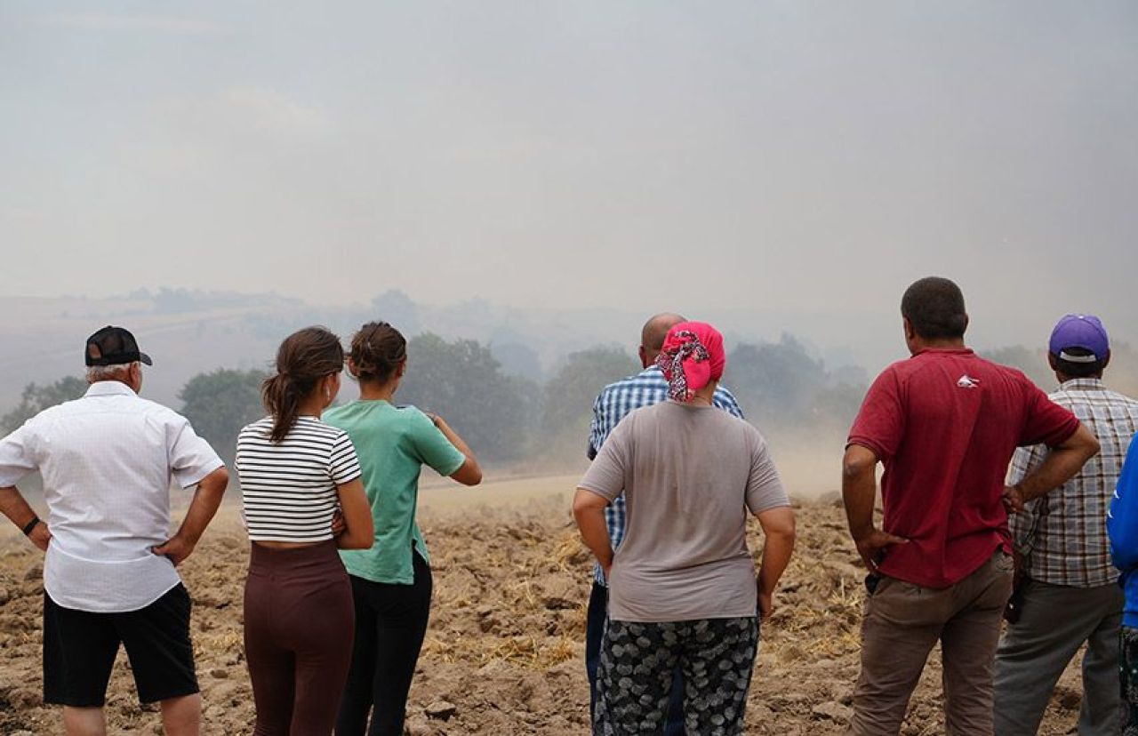 Edirne'de Bulgaristan sınırına yakın bölgede orman yangını - 1. Resim