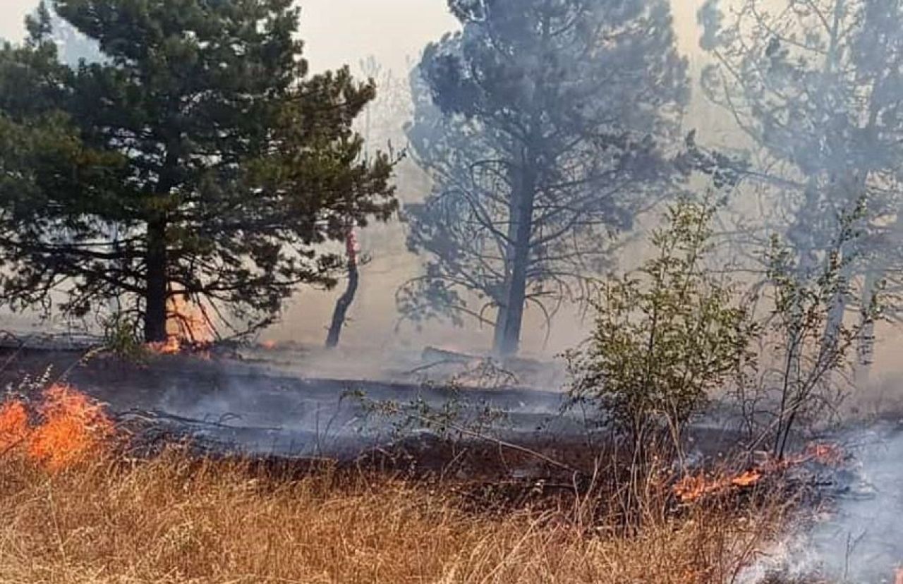 Edirne'de Bulgaristan sınırına yakın bölgede orman yangını - 2. Resim