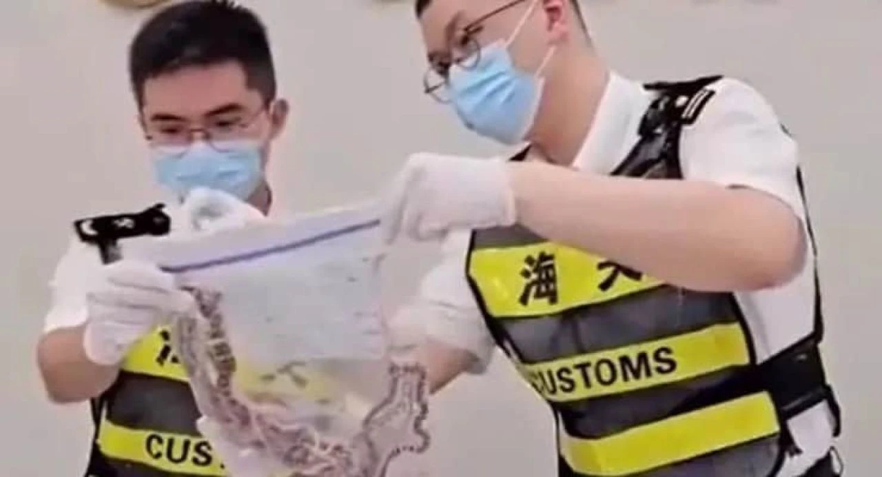 İnanılmaz ama gerçek! Pantolonundan 100 tane canlı yılan çıktı - 1. Resim