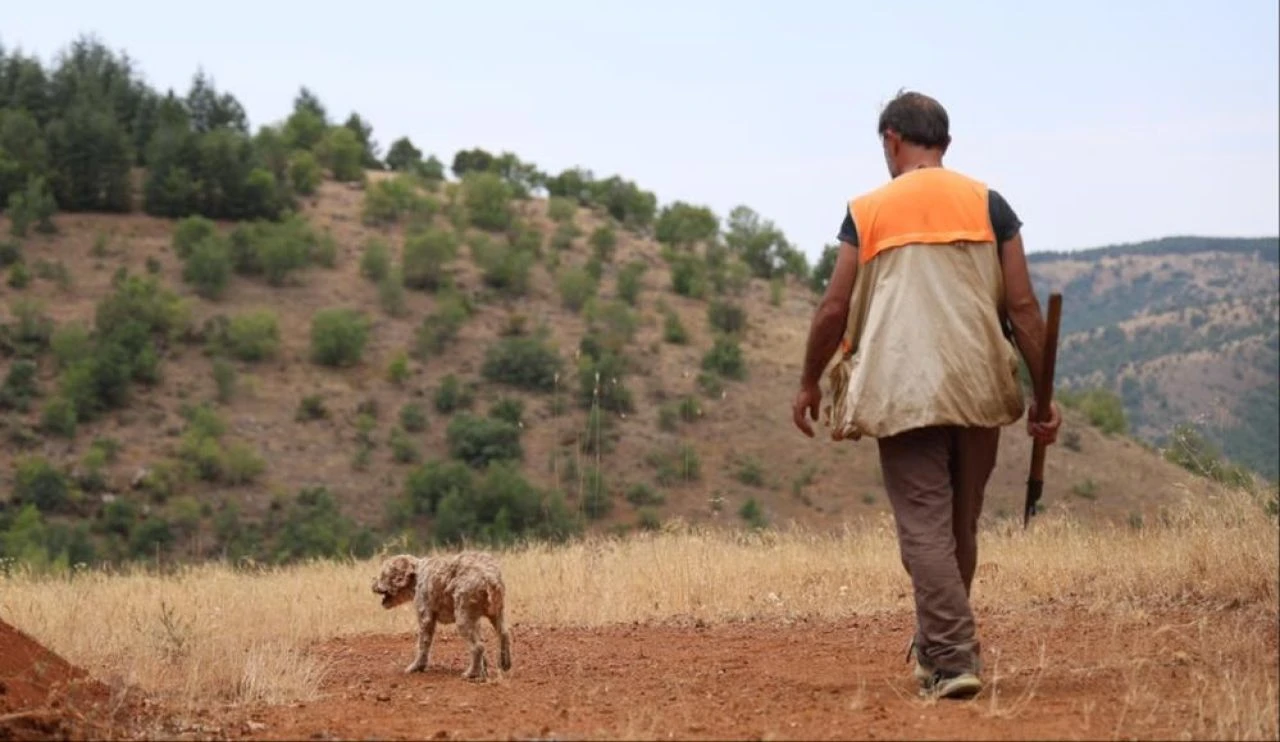 Kilosu 15 bin lira! Özel eğitimli köpeğiyle şehir şehir gezerek topluyor - 2. Resim