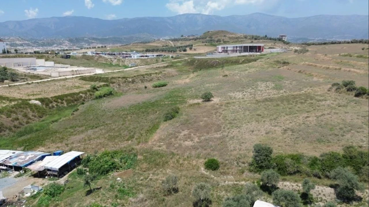 85 bin liraya aldığı inek sırra kadem bastı! Mustafa amca bulana ödül verecek