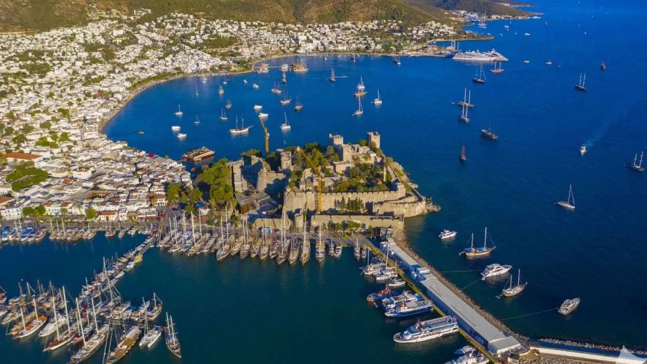 Bodrum Belediye Başkanı Tamer Mandalinci dükkanlar sinek avlayınca isyan etti! Pahalı değil algı yapıyorlar