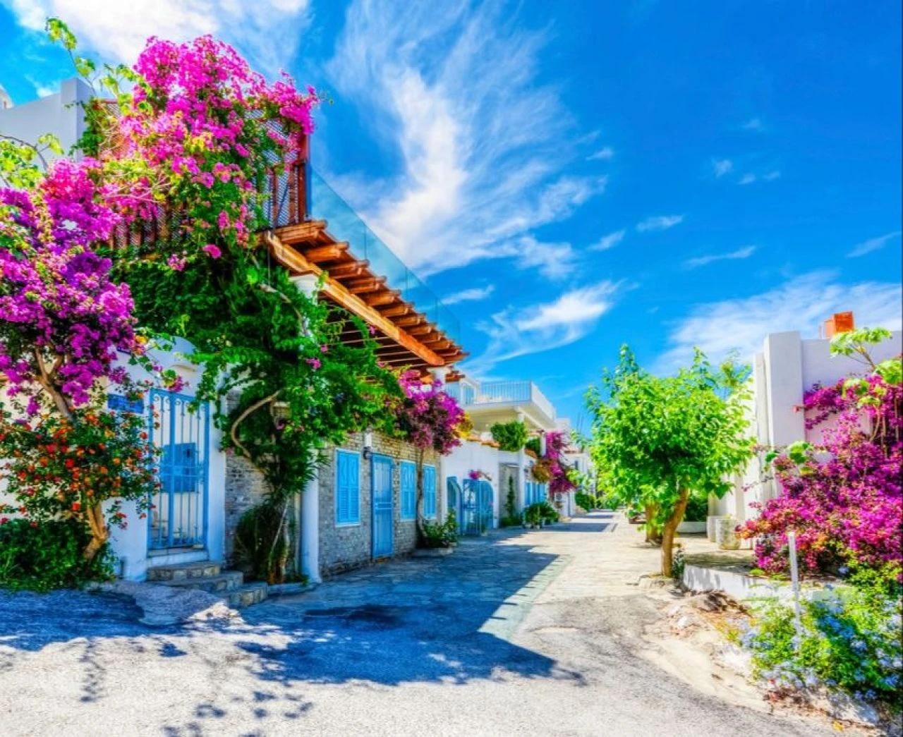 Bodrum Belediye Başkanı Tamer Mandalinci dükkanlar sinek avlayınca isyan etti! Pahalı değil algı yapıyorlar