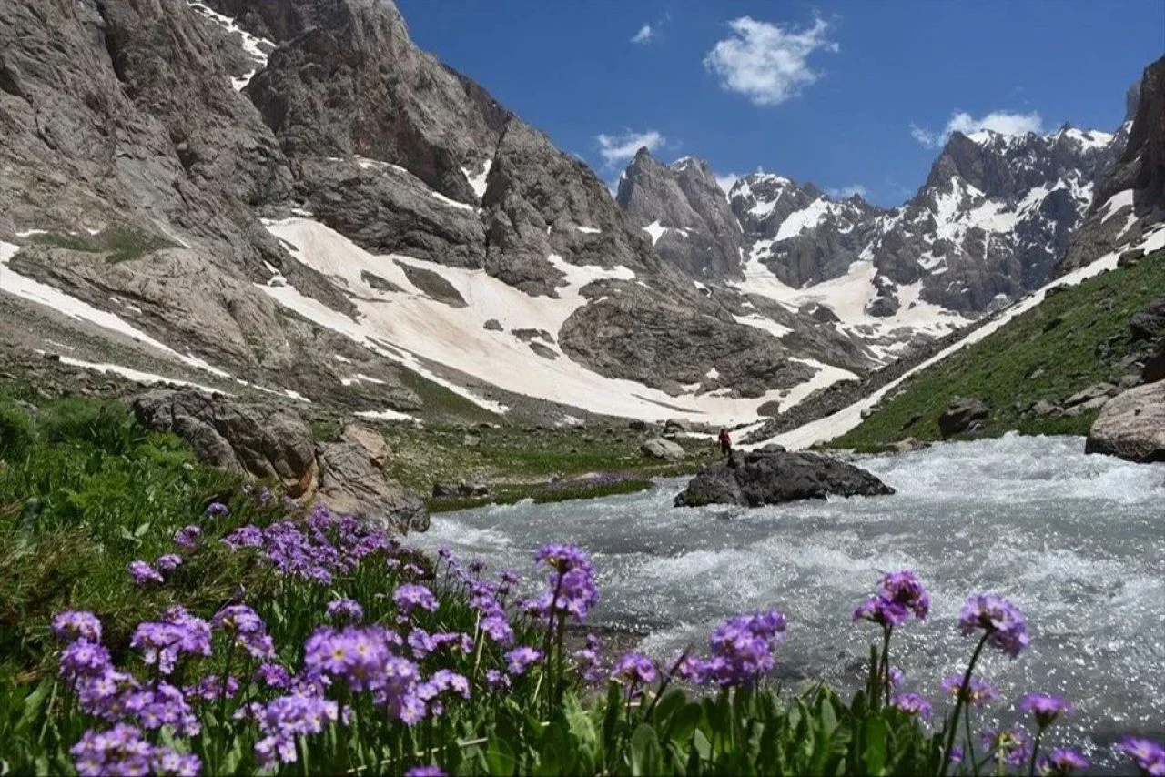 Doğu ve Güneydoğu'ya geriye göç başladı! Artık İstanbul'un değil Hakkari'nin taşı toprağı altın - 3. Resim