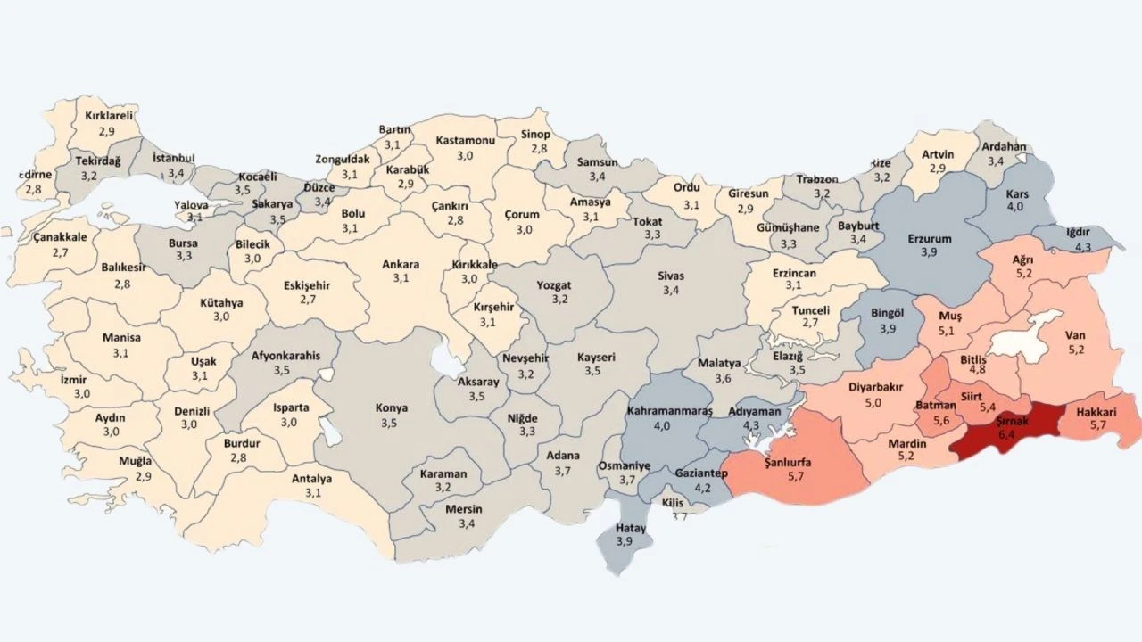 Doğu ve Güneydoğu'ya geriye göç başladı! Artık İstanbul'un değil Hakkari'nin taşı toprağı altın - 5. Resim