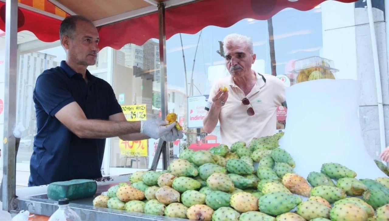 Faydaları saymakla bitmiyor! Bu havada yemezsek Adana bizi öldürecek - 3. Resim
