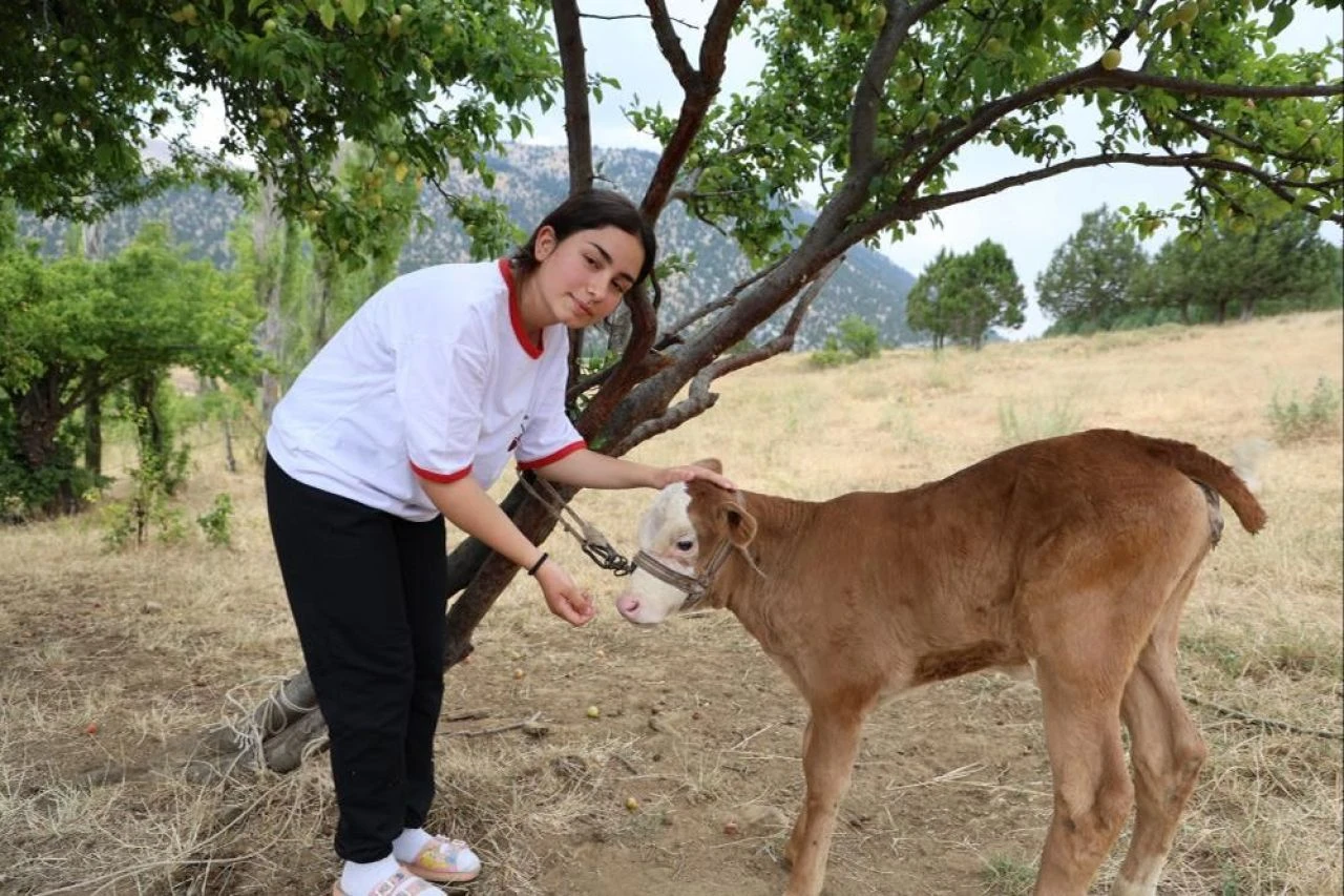 Hem sürüye baktı hem ders çalıştı! Adanalı çoban Zeynep'in büyük başarısı - 3. Resim