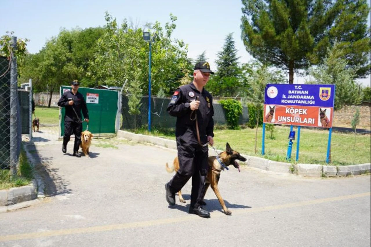 Jandarmanın hassas burunları suçlulara göz açtırmıyor - 2. Resim