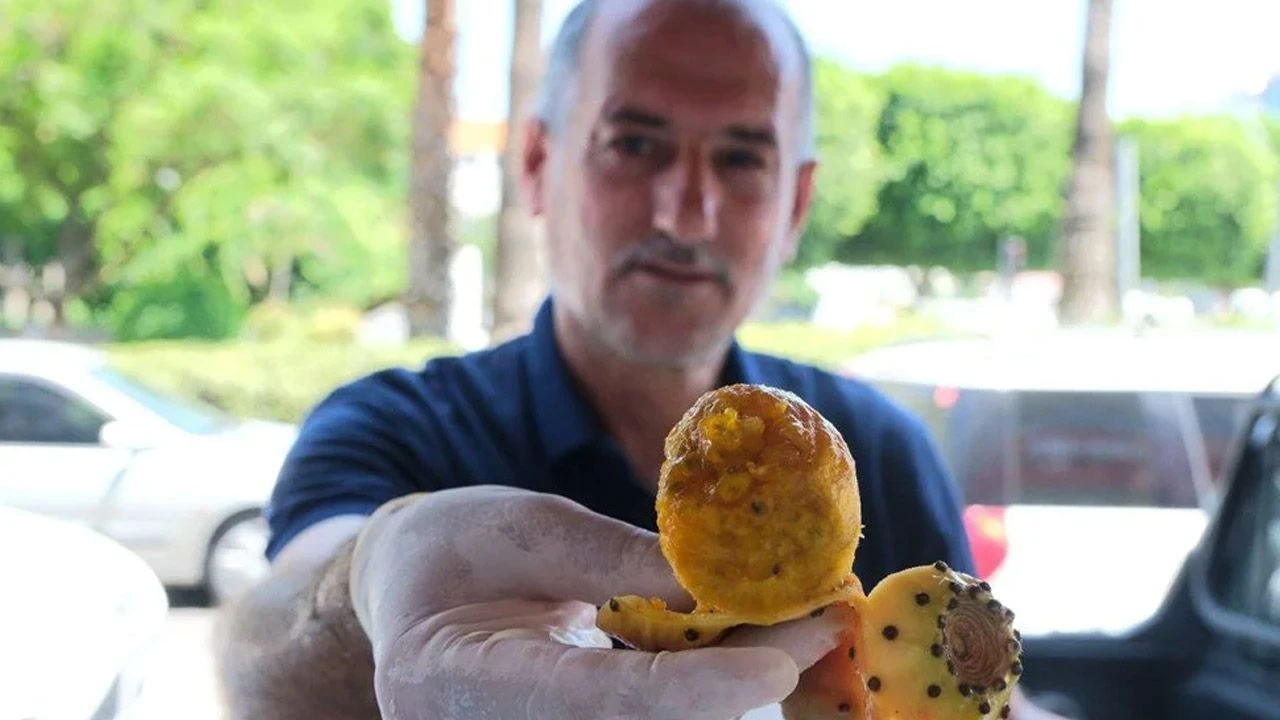 Bağırsakları motor gibi çalıştırıyor! Tanesi 15 liradan satışa çıkarıldı