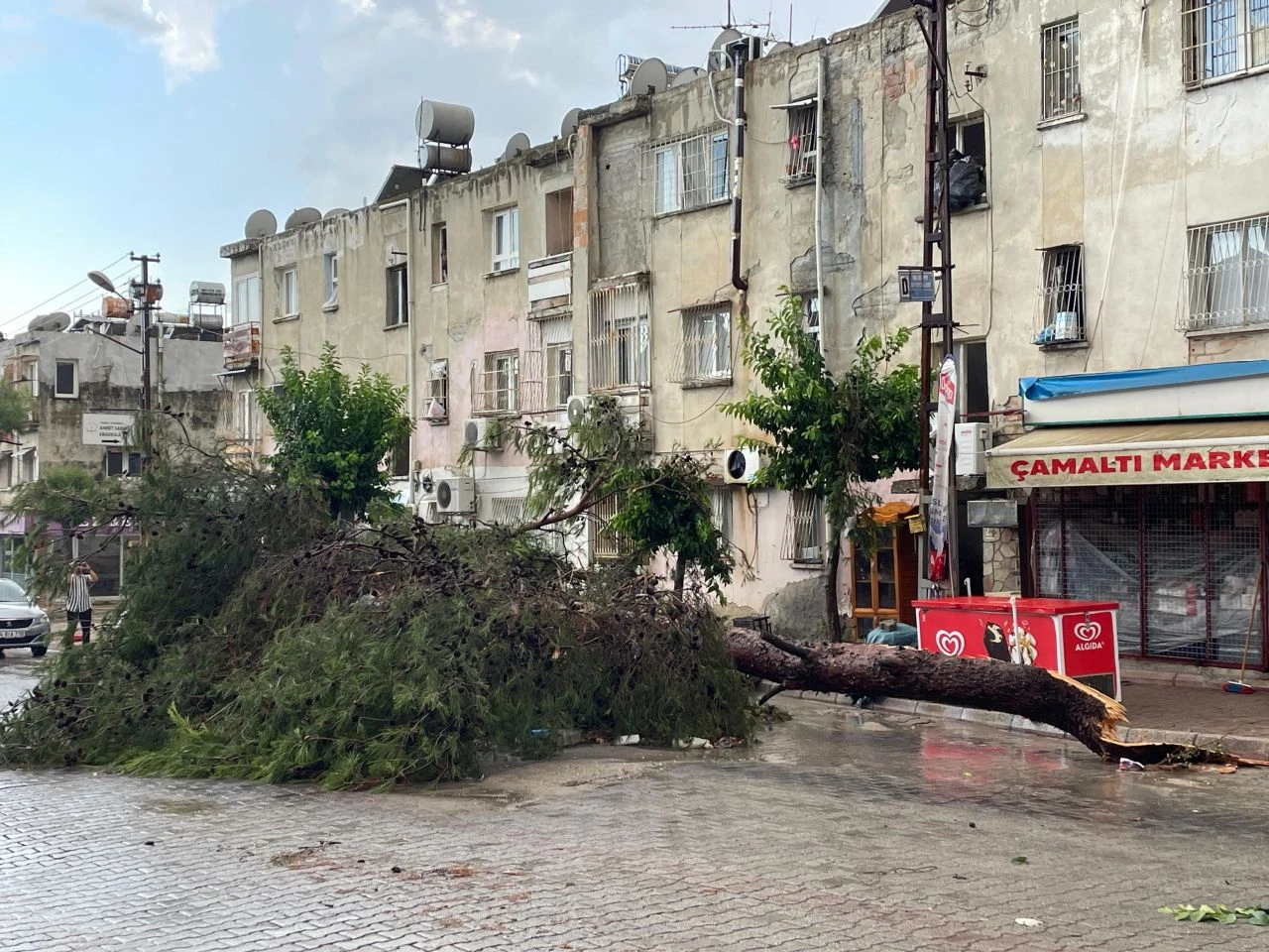 Adana'da hava bir anda karardı, göz gözü görmedi! Korkunç fırtına kamerada - 2. Resim