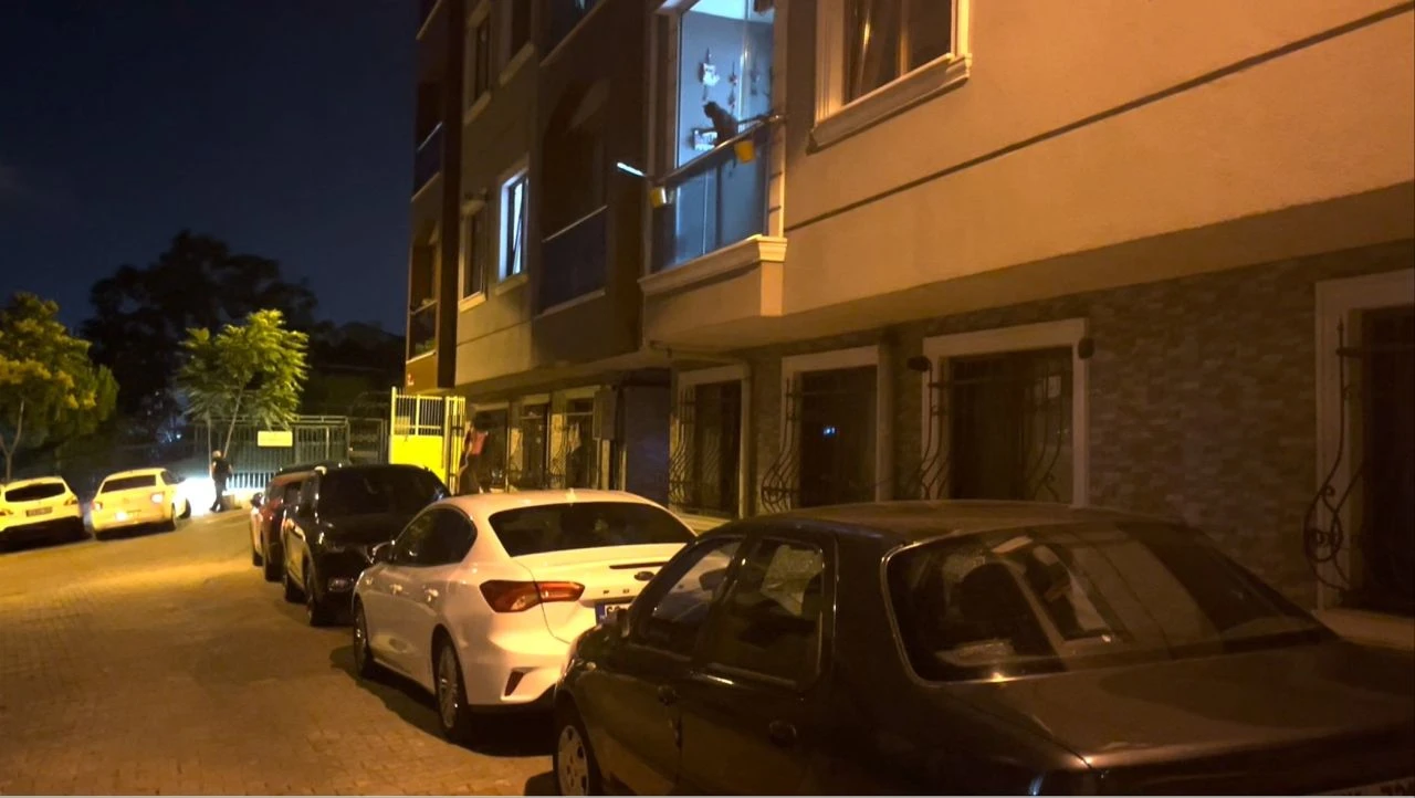 İstanbul'da korku filmi gibi cinayet! Eski sevgilisini yeni sevgilisine öldürttü - 1. Resim