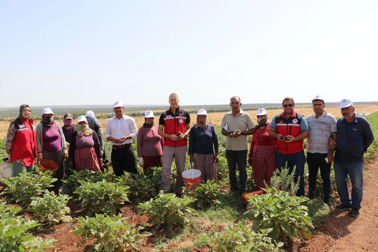 Kilosu 10 liraya kadar düştü! Türkiye’nin her yerinden akın akın getiriyorlar - 2. Resim