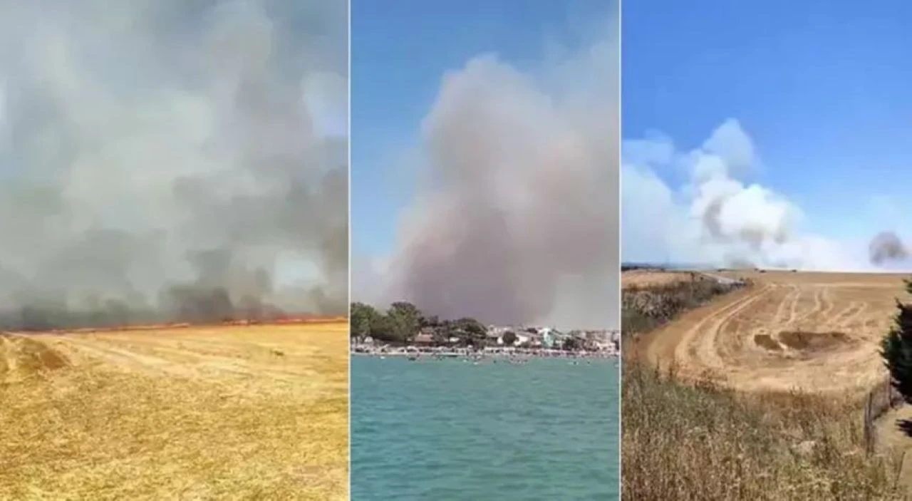 Silivri'de çıkan yangın geniş alana yayıldı! Anadolu yakasından da ekipler sevk edildi - 2. Resim
