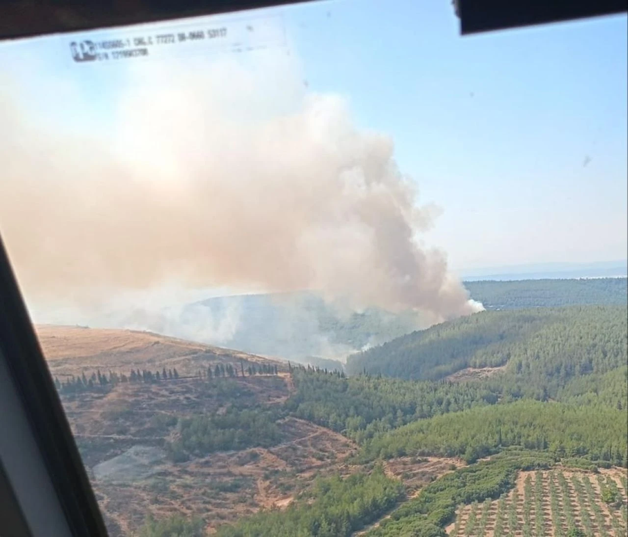 Son dakika | Çeşme'de orman yangını! Acı haber geldi: 3 kişi hayatını kaybetti - 5. Resim