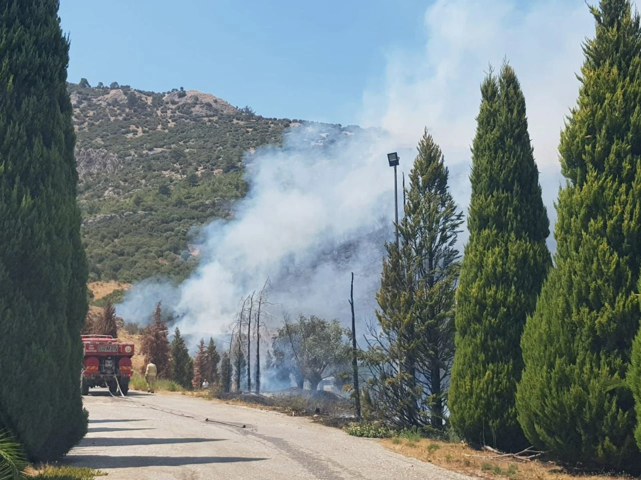 İzmir Selçuk'ta ormanlık alanda çıkan yangını söndürme çalışmaları devam ediyor - 1. Resim