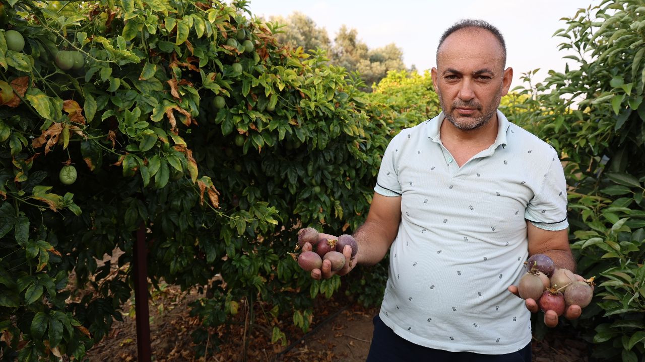 Oto yedek parçası satıyordu, bu işe girdi hayatı değişti! Siparişlere yetişemiyor