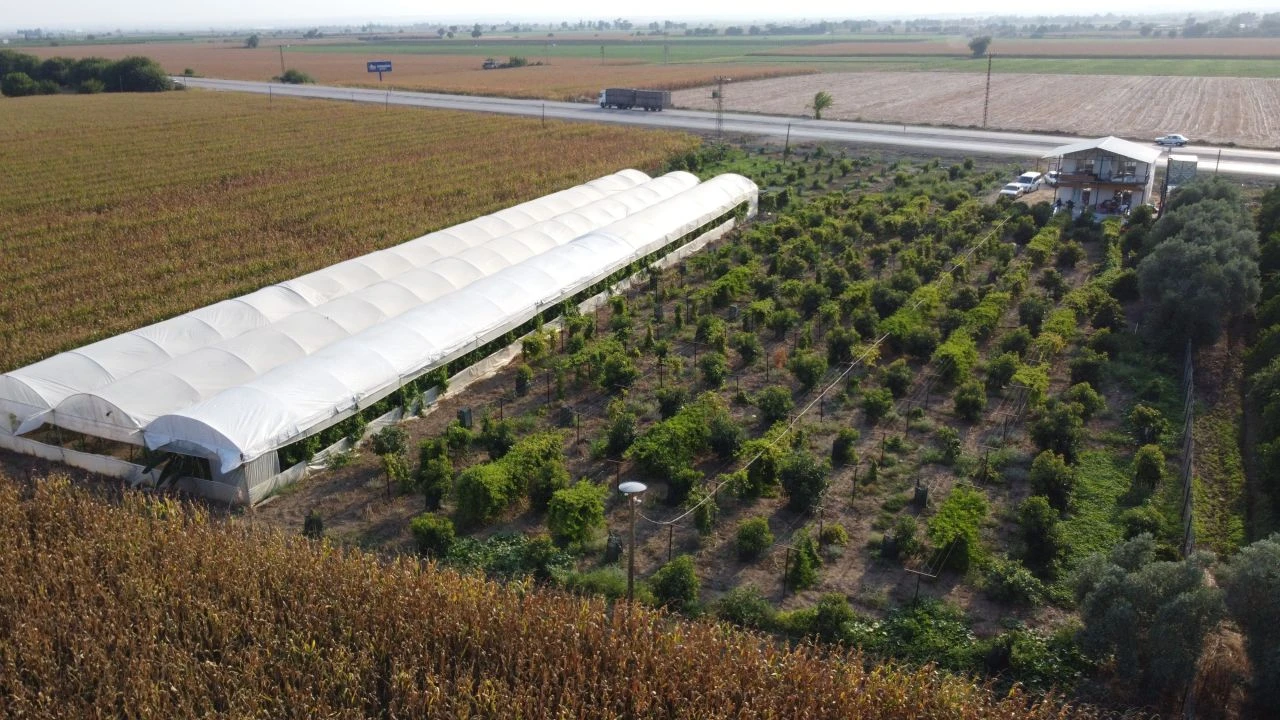 Oto yedek parçası satıyordu, bu işe girdi hayatı değişti! Siparişlere yetişemiyor - 3. Resim