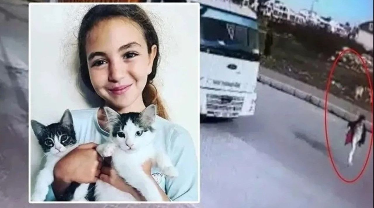 TBMM Komisyonu'nda başıboş köpek kavgası! Muhalif vekiller Mahra Melin Pınar'ın annesinin üzerine yürüdü - 2. Resim