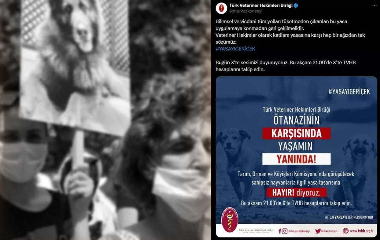 TVHB'nin ötanazi çelişkisi! Karşı çıkarken, 4 bin lira fiyat çektiler! - 1. Resim