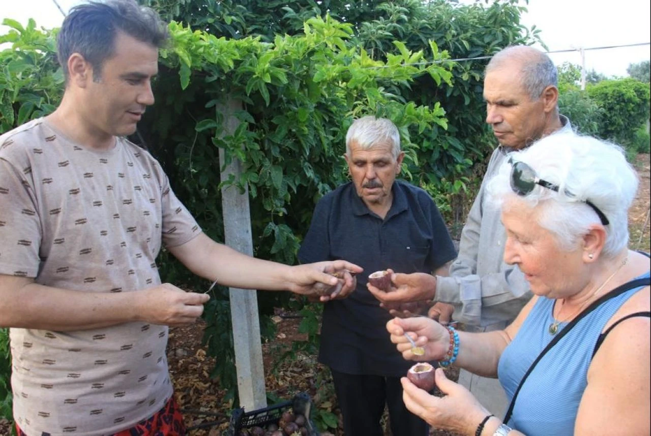 Deneme amaçlı dikti, kasa kasa hasat yapıyor! Kilosu 100 TL'den satılan 'aşk meyvesi' kapış kapış gidiyor