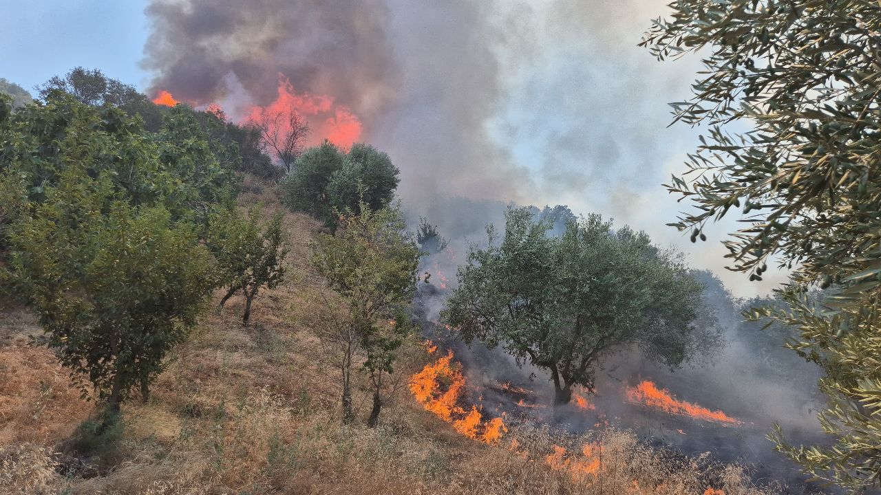 Manisa&#039;nın Turgutlu ilçesine bağlı tarım arazisinde çıkan yangın ormanlık alana sıçradı