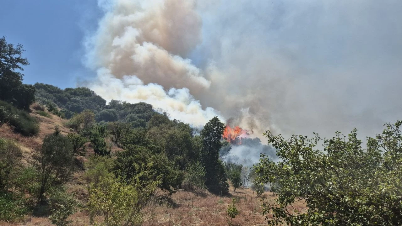 Manisa'nın Turgutlu ilçesine bağlı tarım arazisinde çıkan yangın ormanlık alana sıçradı